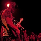 The Expendables at the Roxy © Bryan Crabtree