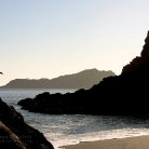 Beach Front Buffet © Bryan Crabtree