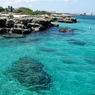 Aruba © Bryan Crabtree