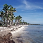 Western Caribbean Cruise © Bryan Crabtree