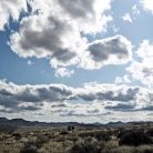 Mojave National Preserve © Bryan Crabtree