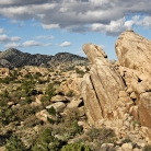 Mojave National Preserve © Bryan Crabtree