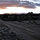 Mojave National Preserve © Bryan Crabtree