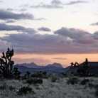 Mojave National Preserve © Bryan Crabtree