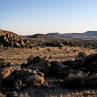 Mojave National Preserve © Bryan Crabtree