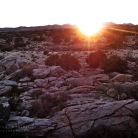 Mojave National Preserve © Bryan Crabtree