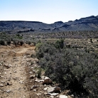 Mojave National Preserve © Bryan Crabtree