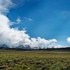 Inyo National Forest © Bryan Crabtree