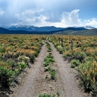 Inyo National Forest © Bryan Crabtree