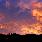 Griffith Park at Dawn © Bryan Crabtree