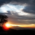 Griffith Park at Dawn © Bryan Crabtree