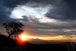 Griffith Park at Dawn © Bryan Crabtree