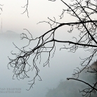 Griffith Park at Dawn © Bryan Crabtree