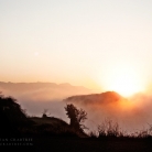 Griffith Park at Dawn © Bryan Crabtree