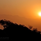 Griffith Park at Dawn © Bryan Crabtree