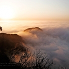 Griffith Park at Dawn © Bryan Crabtree