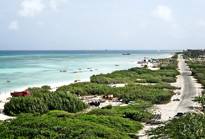 Aruba – April 2007 © Bryan Crabtree