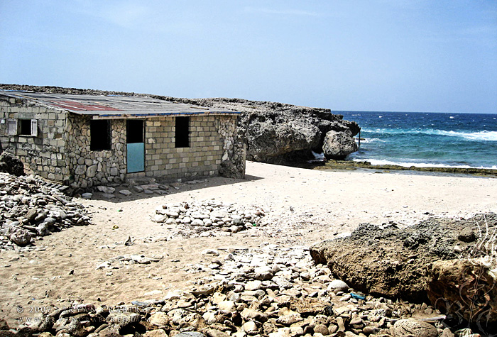 Aruba – April 2007 © Bryan Crabtree