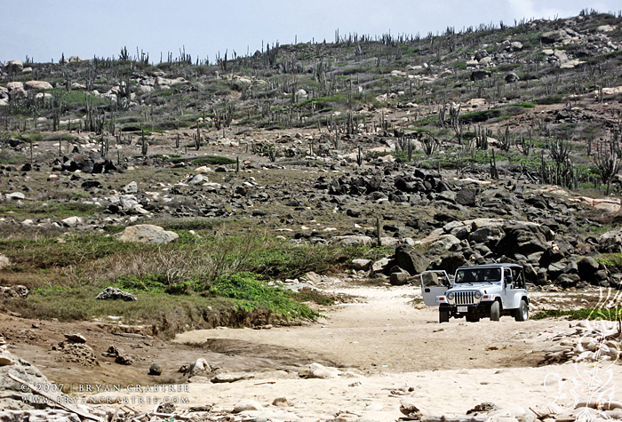 Aruba – April 2007 © Bryan Crabtree