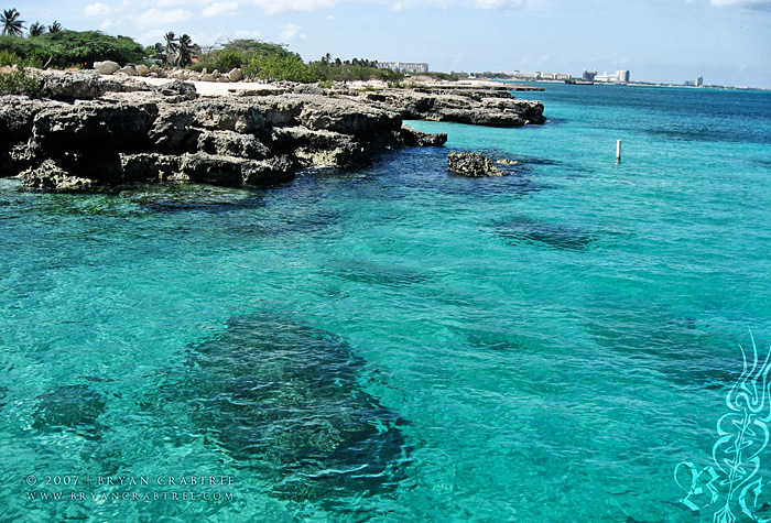 Aruba – April 2007 © Bryan Crabtree