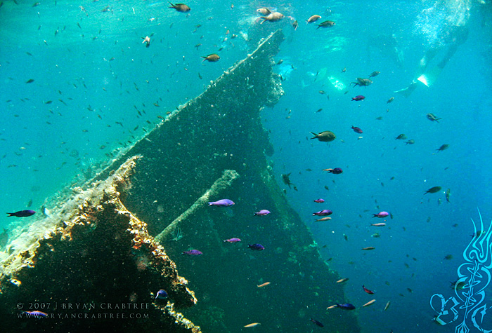 Scuba Diving in Aruba – April 2007 © Bryan Crabtree