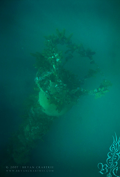 Scuba Diving in Aruba – April 2007 © Bryan Crabtree