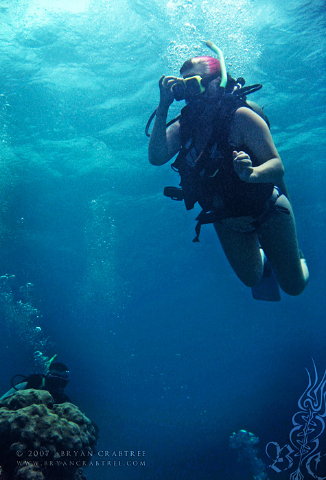 Scuba Diving in Aruba – April 2007 © Bryan Crabtree