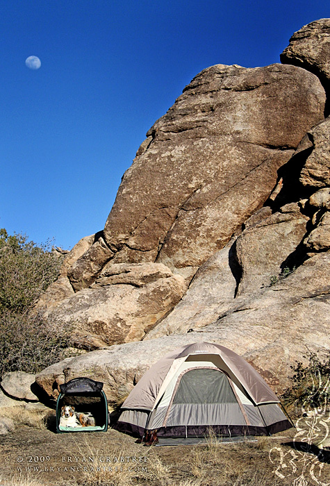 Mojave National Preserve © Bryan Crabtree