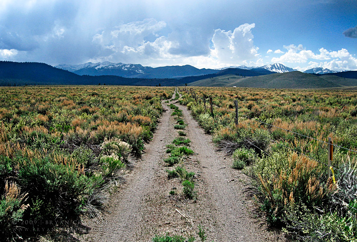 Inyo National Forest Camping © Bryan Crabtree