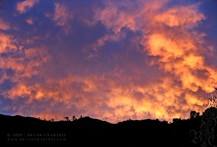 Griffith Park at Dawn © Bryan Crabtree