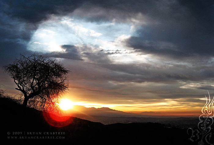 Griffith Park at Dawn © Bryan Crabtree