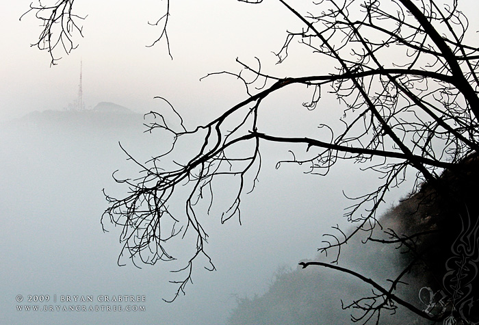 Griffith Park at Dawn © Bryan Crabtree