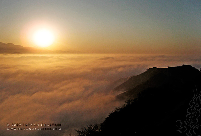 Griffith Park at Dawn © Bryan Crabtree