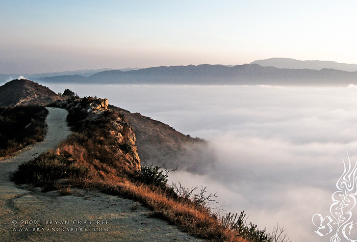 Griffith Park at Dawn © Bryan Crabtree