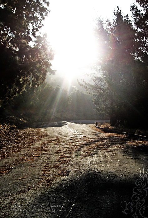 Griffith Park at Dawn © Bryan Crabtree