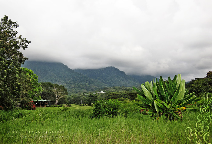 Costa Rica © Bryan Crabtree