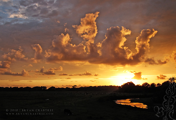 Costa Rica © Bryan Crabtree